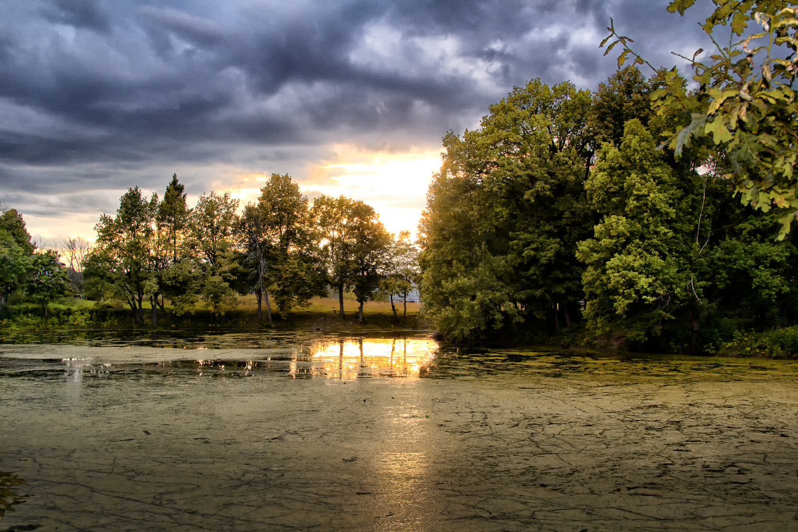 A pond in the Apraksin estate. Olgovo. - My, The photo, Nature, Landscape, 