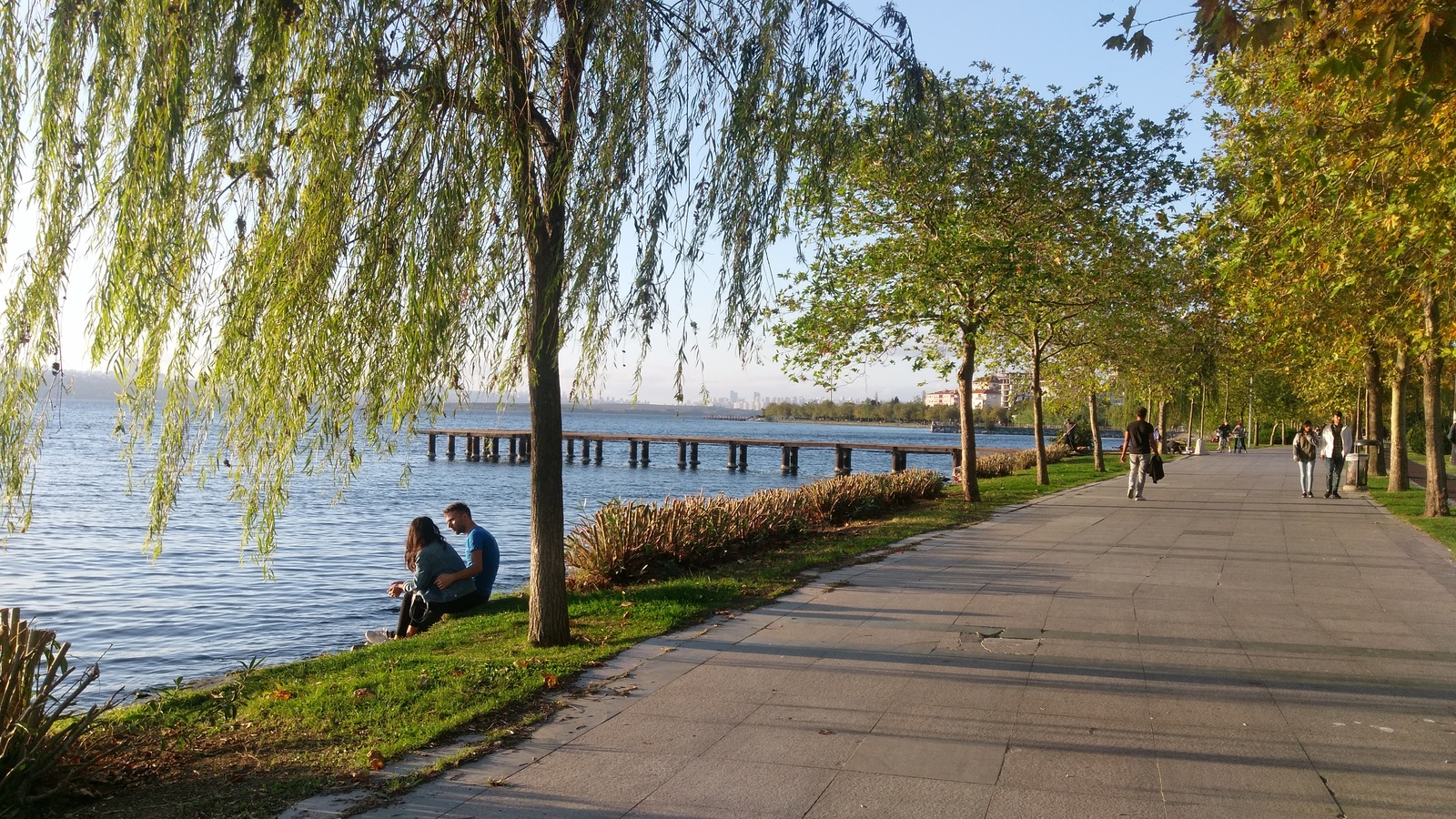 Shore of a small city lake, Istanbul - My, Lake, The park, Istanbul