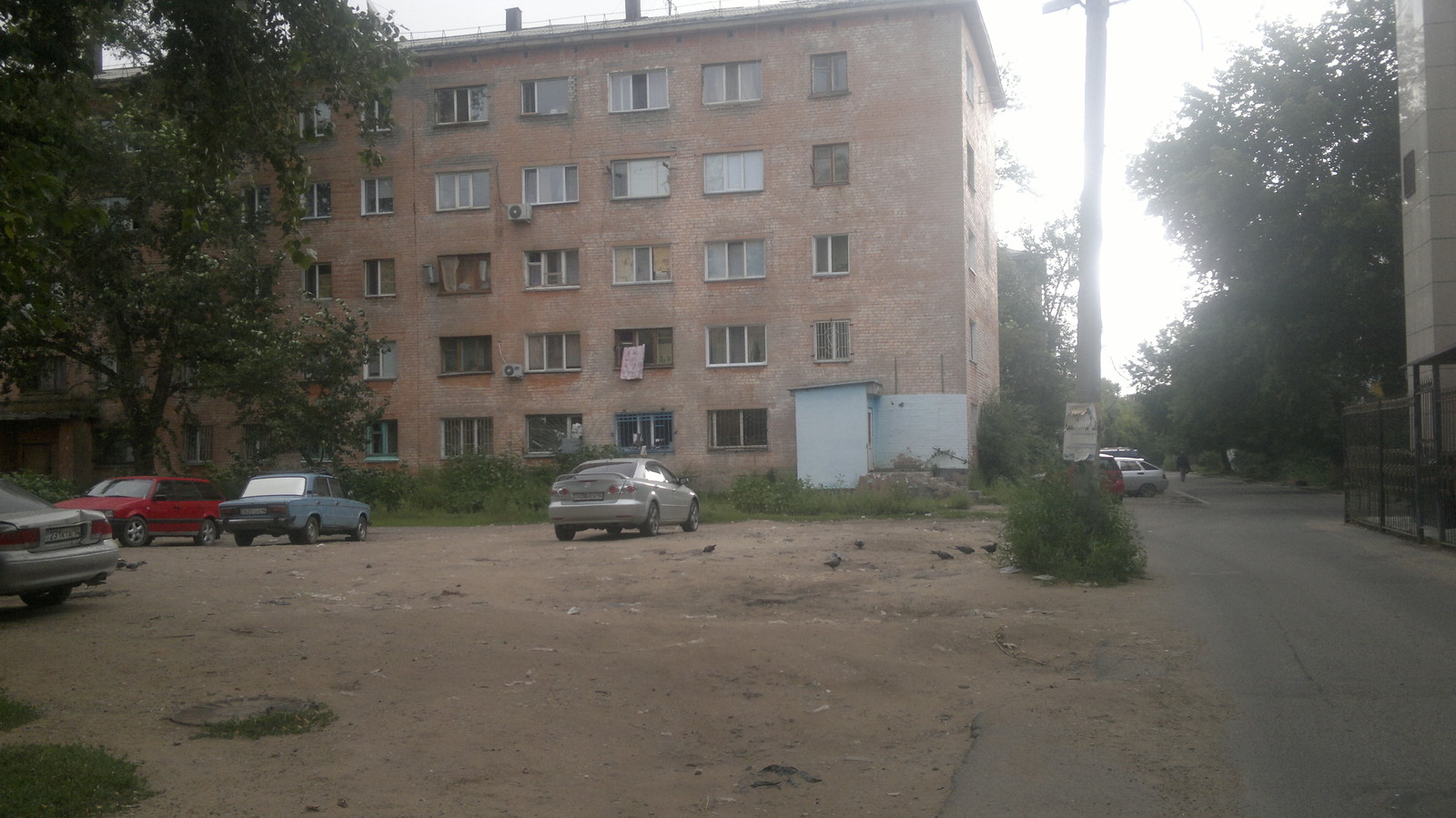 Different types of town - My, Kazakhstan, Pavlodar, cat, Trash can, , Vandalism, Longpost