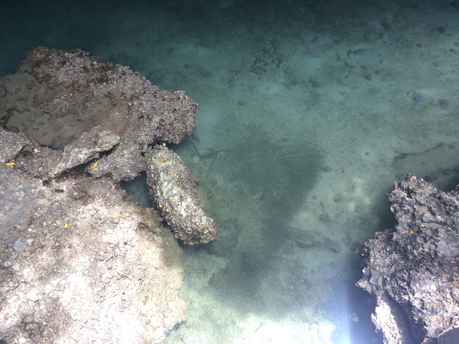 Anthong National Marine Park - where to go from Koh Samui for the wonders of nature - My, Thailand, Travels, Leisure, Koh Samui, Nature, Reserves and sanctuaries, Sea, Longpost