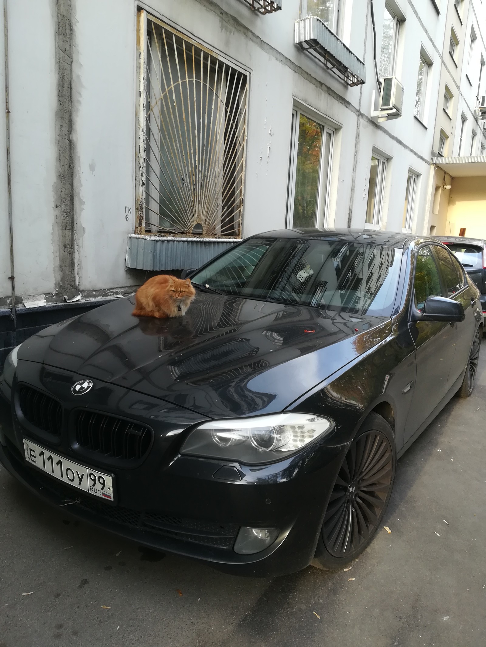 Не лает не кусает машину охраняет | Пикабу