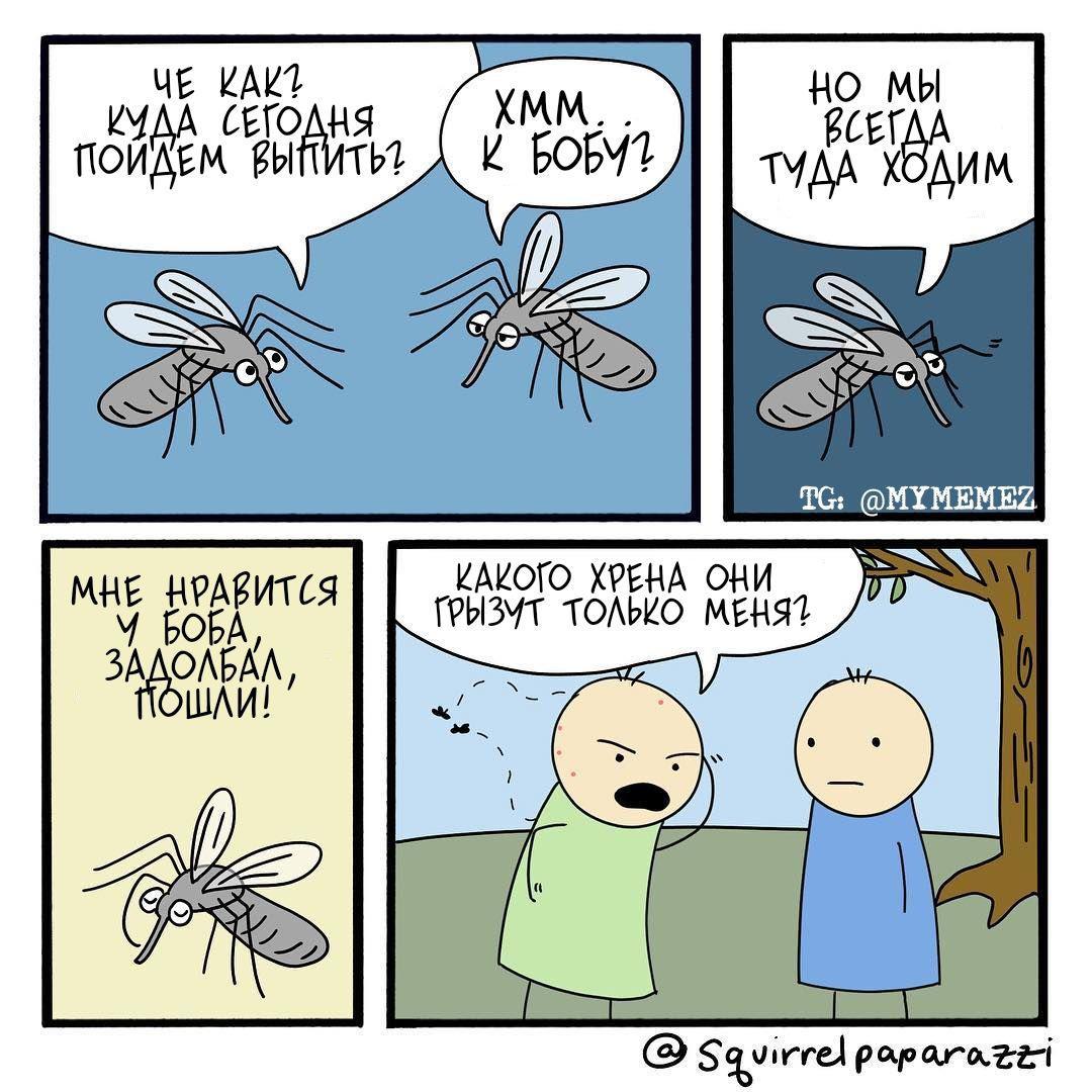 Mosquito days. - Mosquitoes, Comics