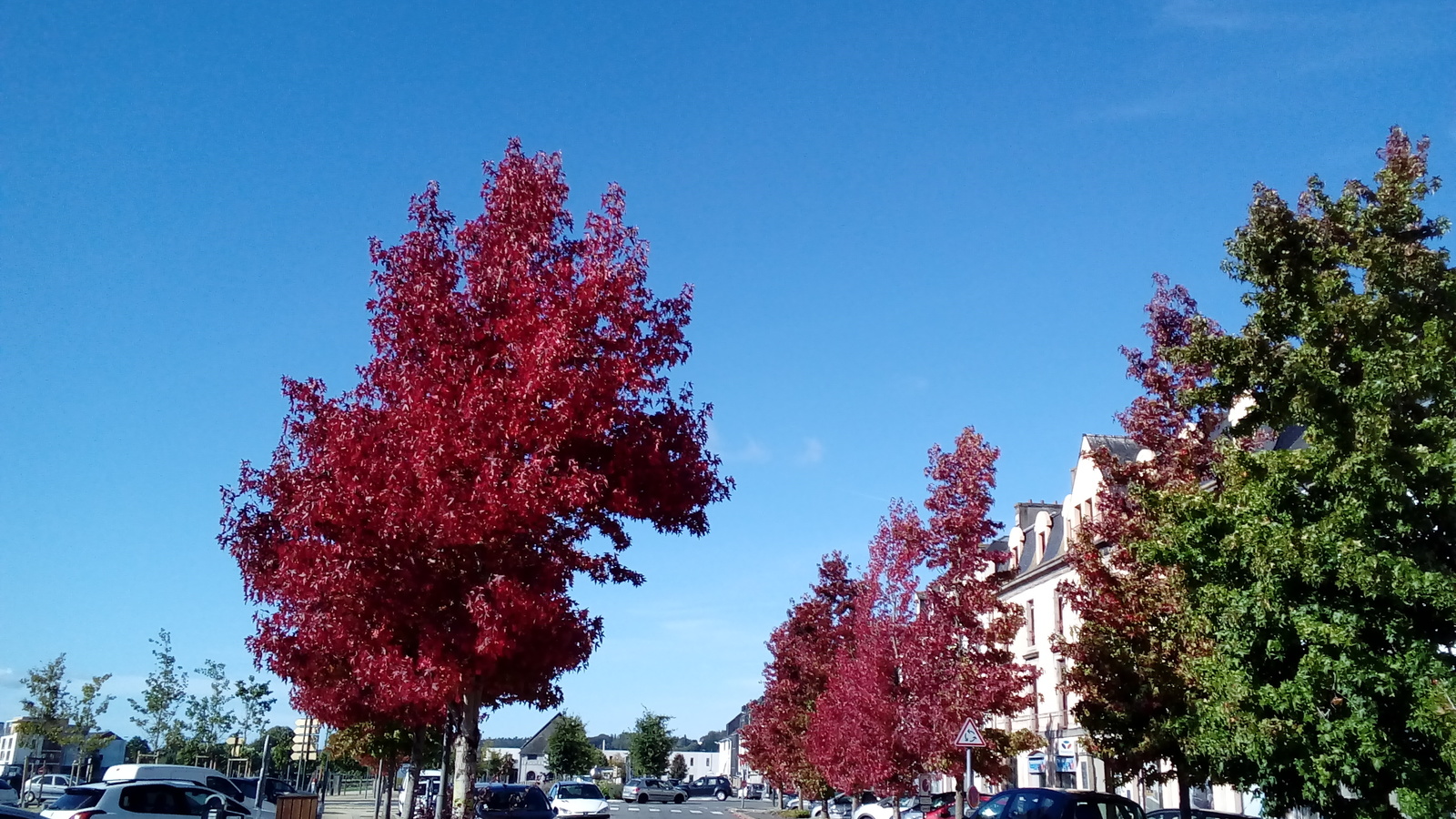 October. France. Finister. - My, France, Autumn, Images, Longpost