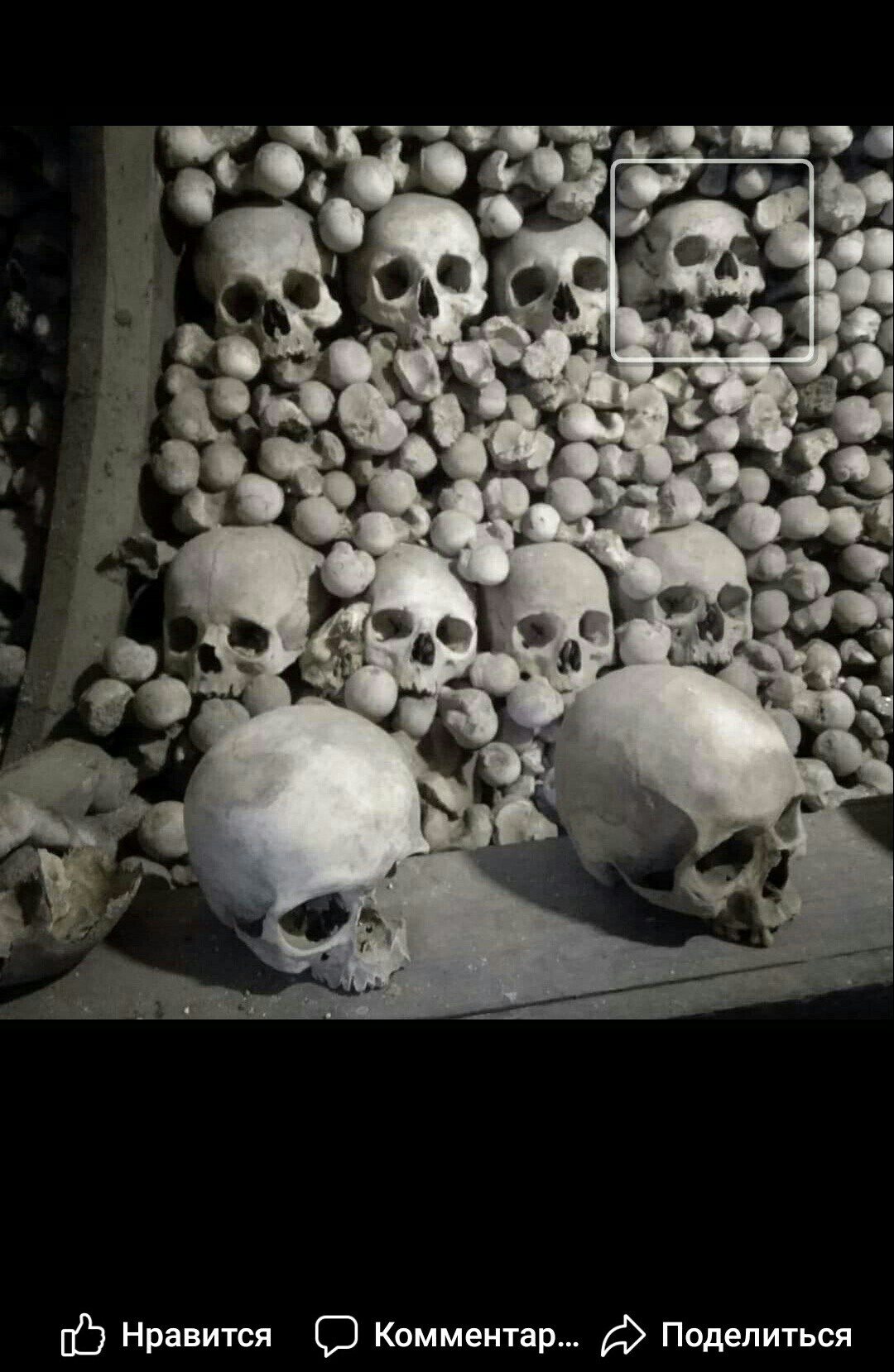 Facebook found a friend - My, Scull, Facebook, Friends, Screenshot, Czech, Longpost, Ossuary