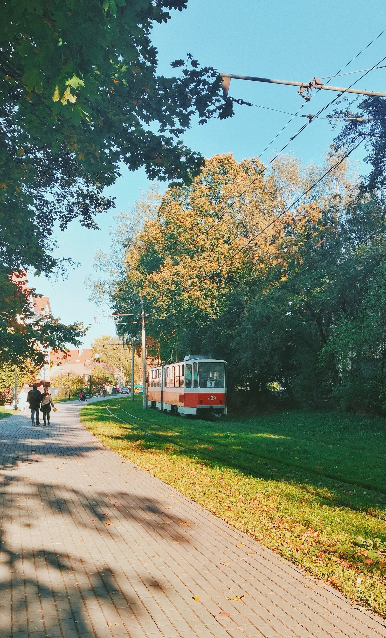 Green-golden autumn of Kaliningrad - My, Cityscapes, Autumn, Kaliningrad, Foliage, Baltika, Longpost, Street photography