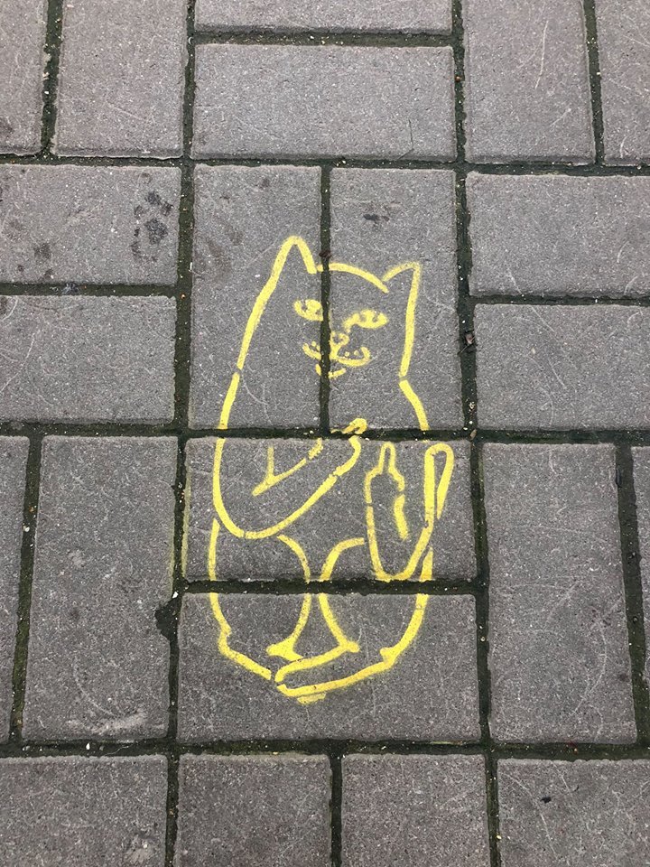 I left my grandmother, and even more so I will leave you - My, Drawing on the pavement, cat, , Catomafia