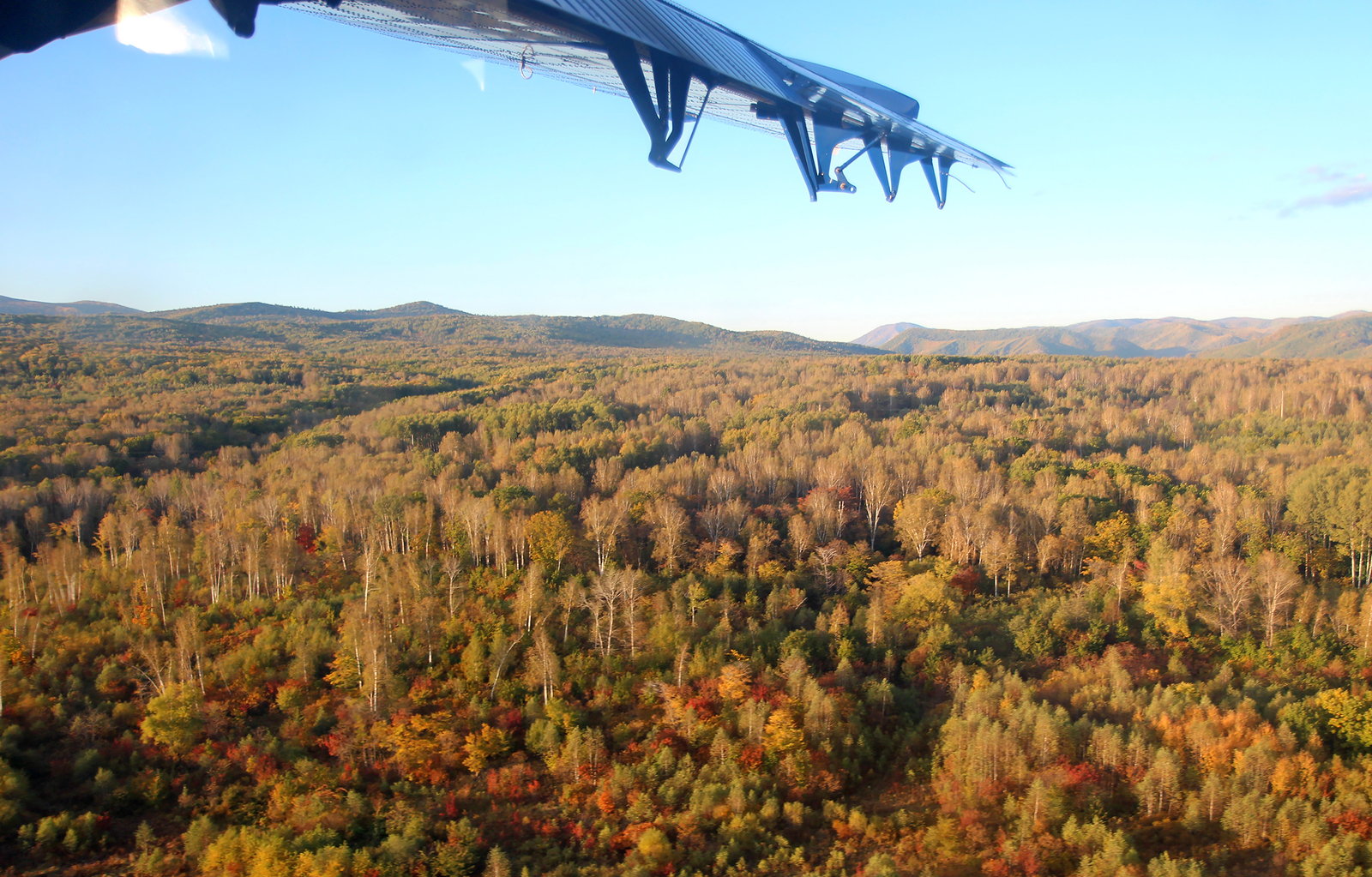 Primorye from a height of three kilometers: Kavalerovo - My, Spotting, The photo, Primorsky Krai, Aviation, Travels, Longpost