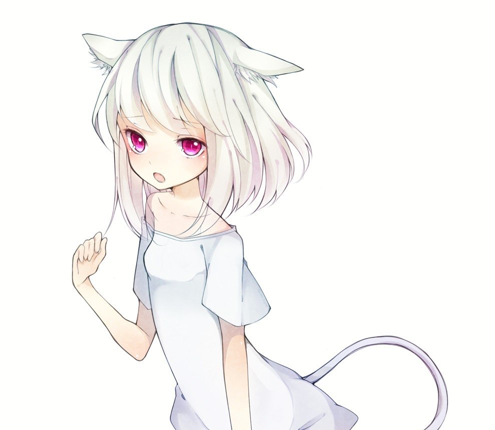 Neko-loli | Пикабу