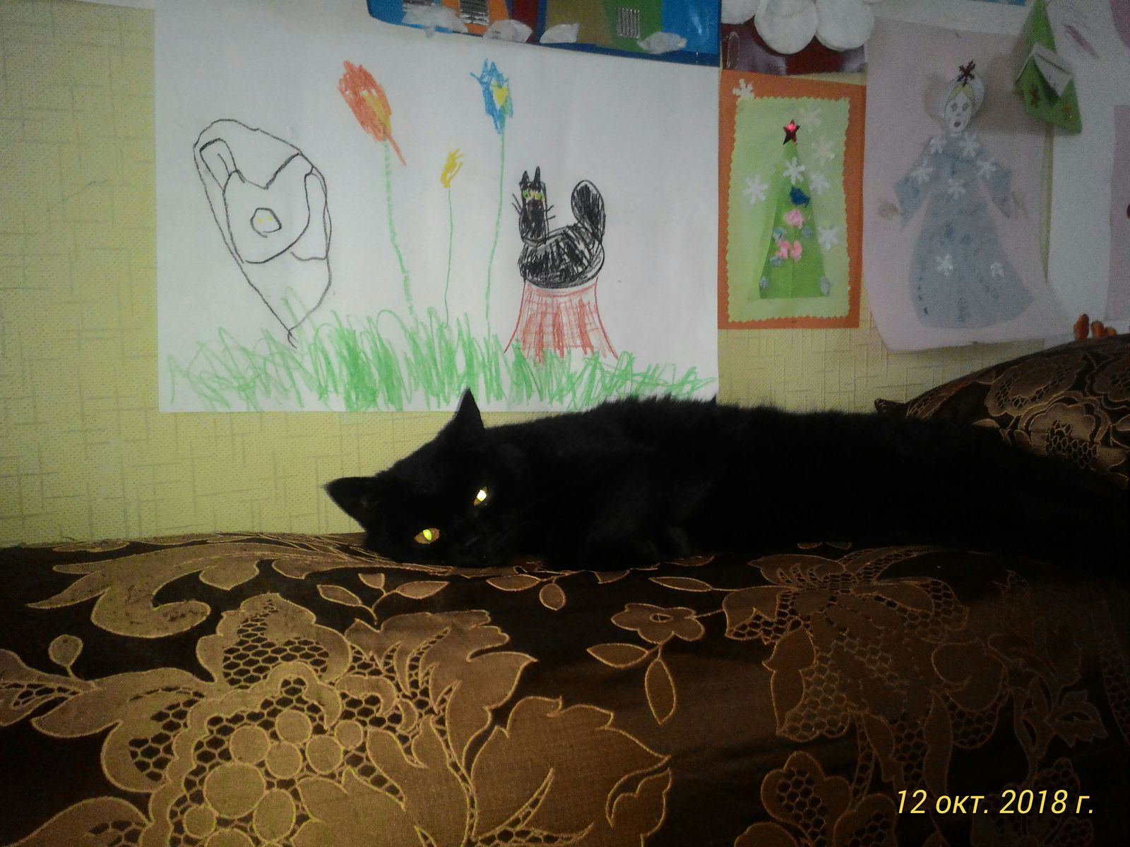 A fiend under his portrait. - My, Catomafia, Satan, cat