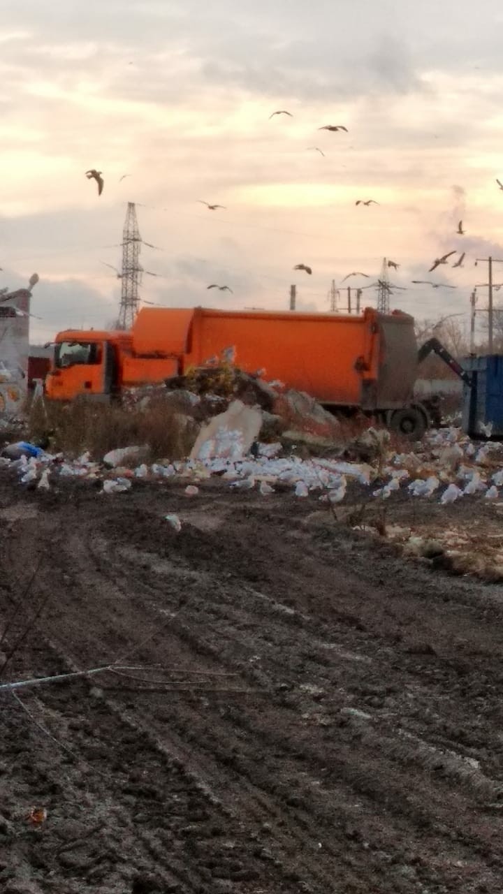 Chelyabinsk landfill is not closed? - Chelyabinsk, Garbage, Longpost