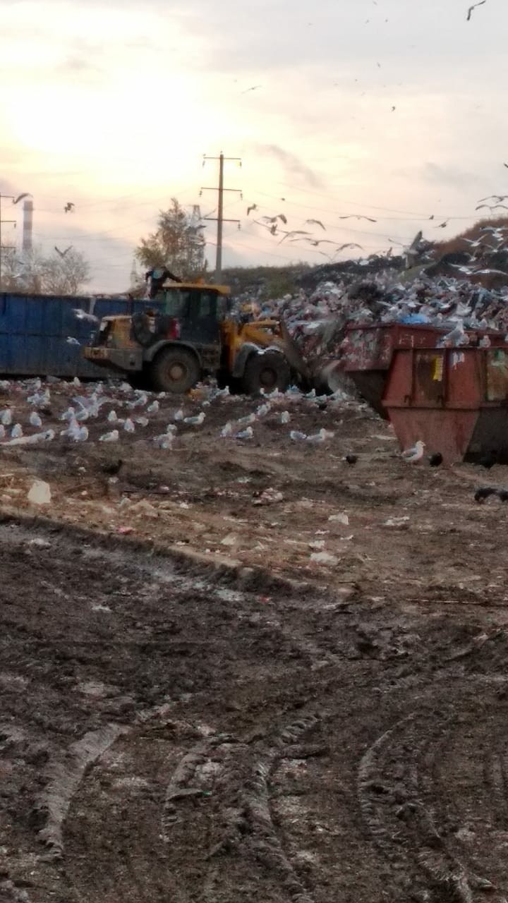 Chelyabinsk landfill is not closed? - Chelyabinsk, Garbage, Longpost