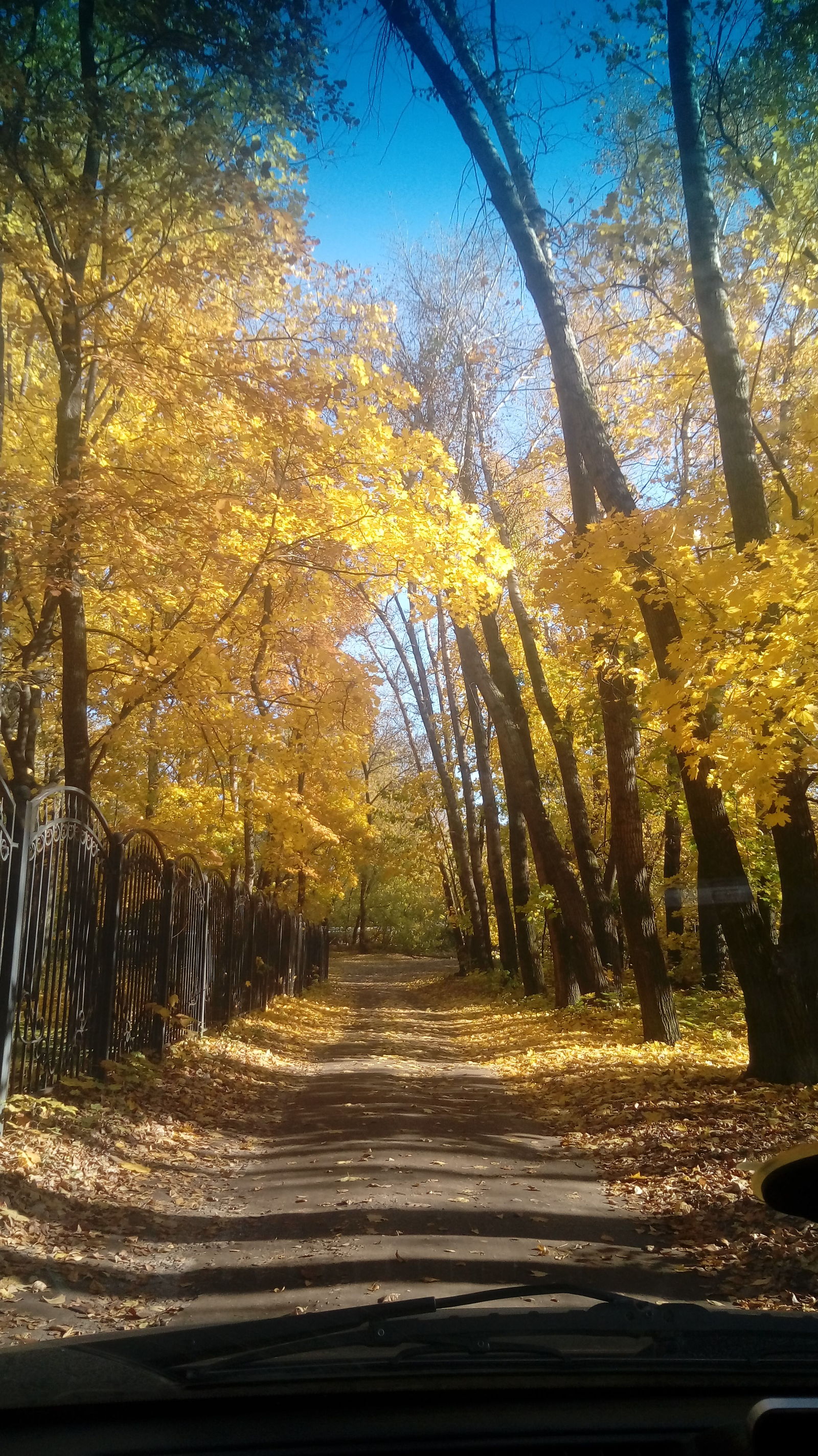 Autumn - My, Autumn, Moscow, The photo