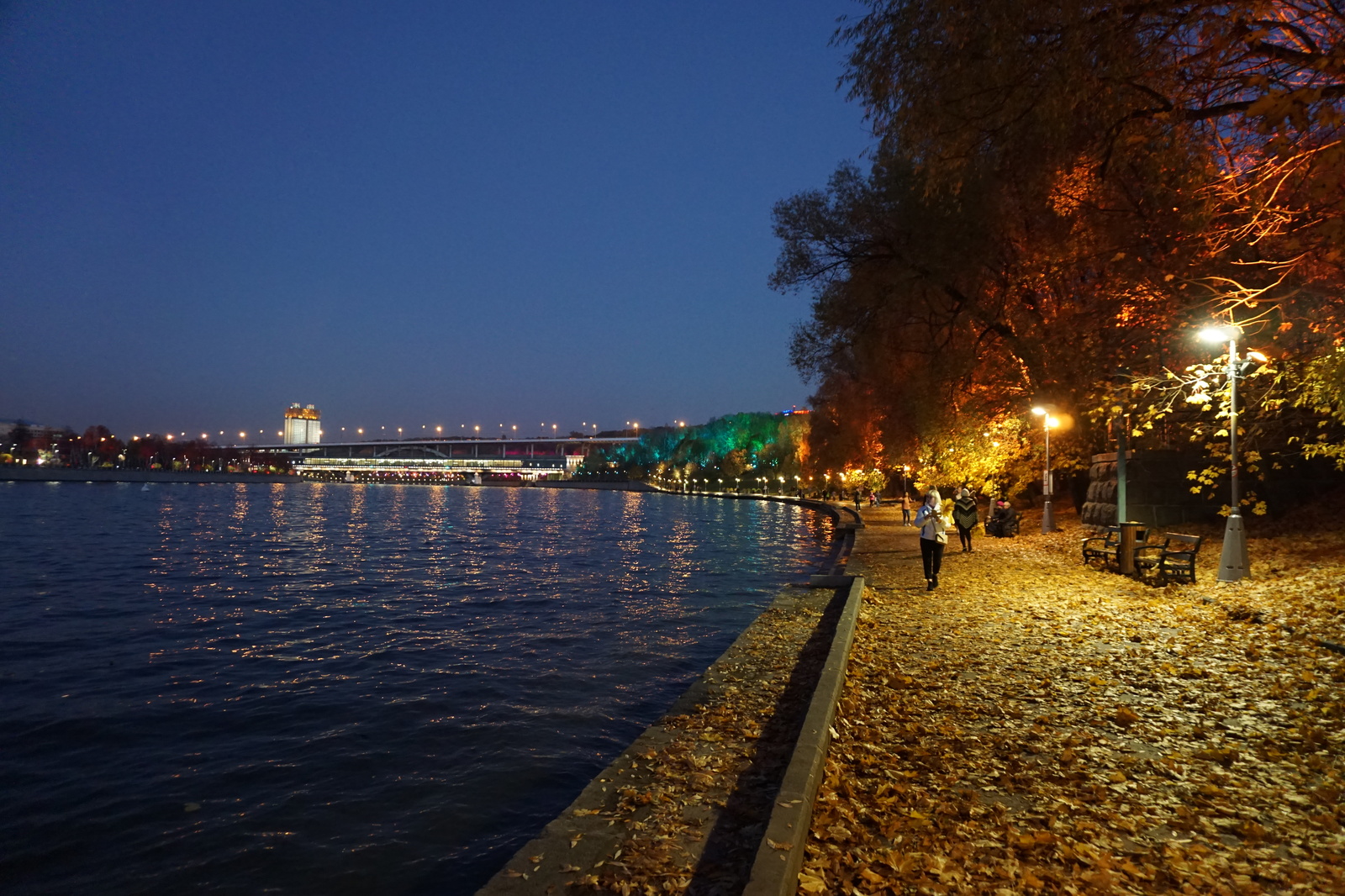 Парк у набережной Волгоград ночью