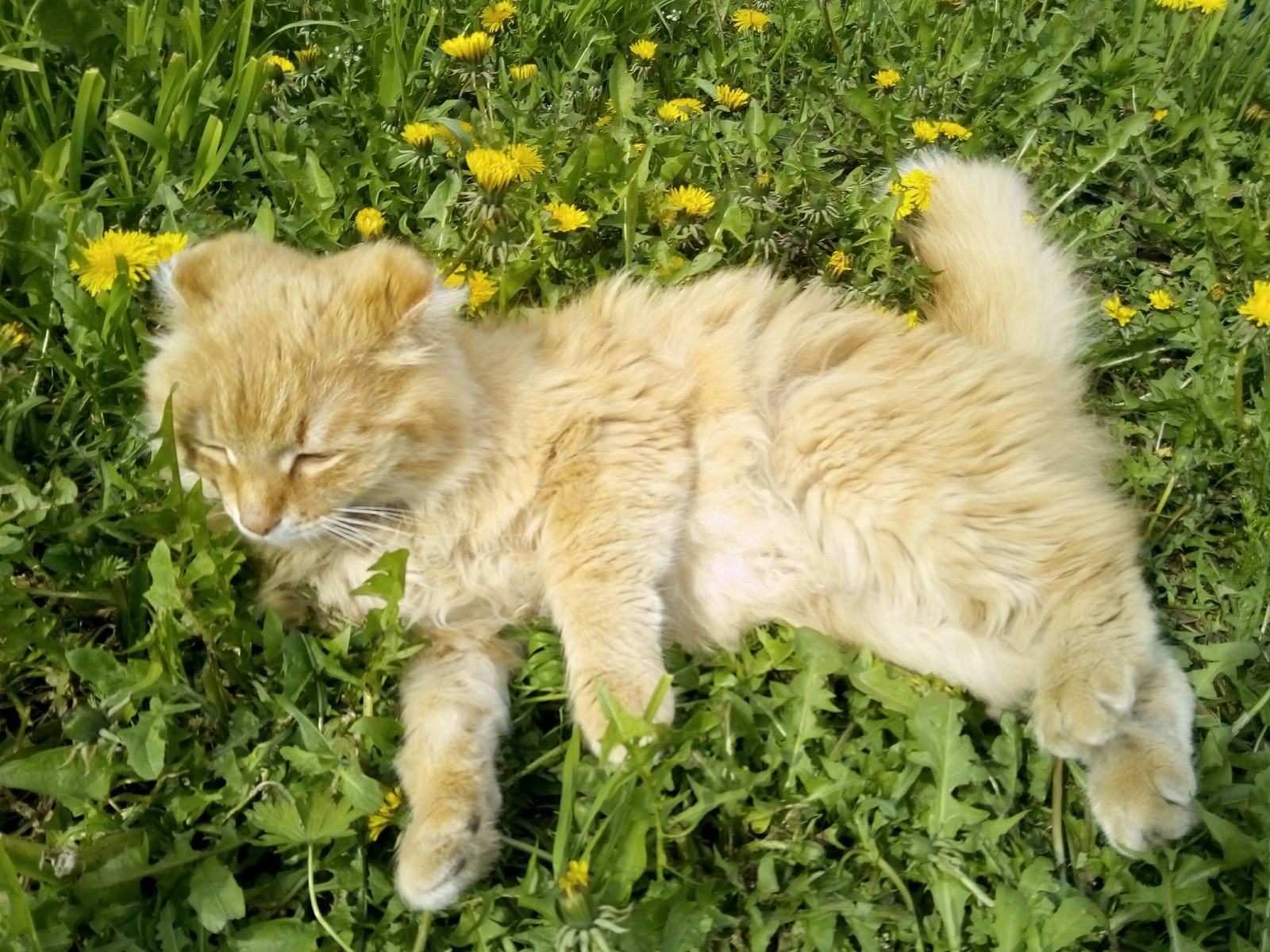 Всяк кулик... | Пикабу