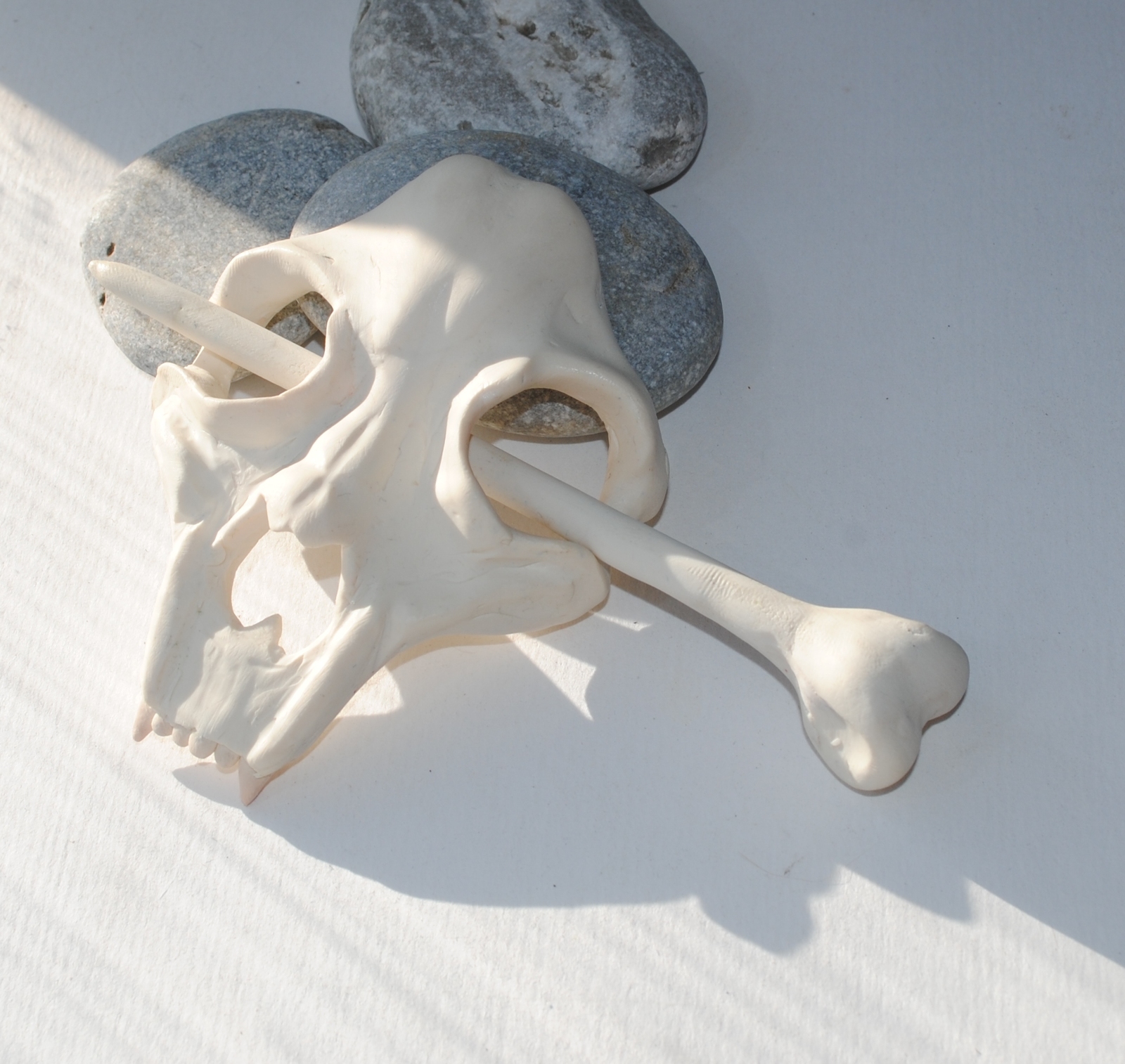 Skull and bone ... Everything is very simple, at first glance - My, Scull, Barrette, Polymer clay, Longpost