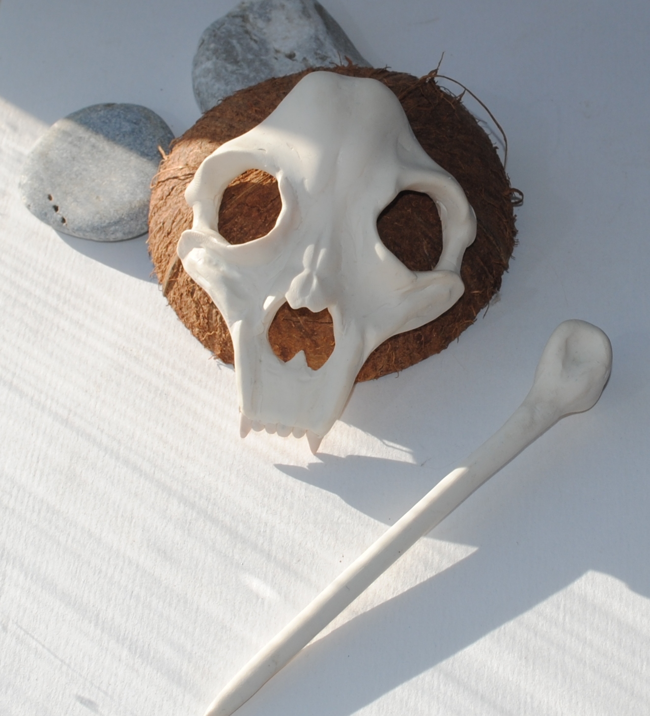 Skull and bone ... Everything is very simple, at first glance - My, Scull, Barrette, Polymer clay, Longpost