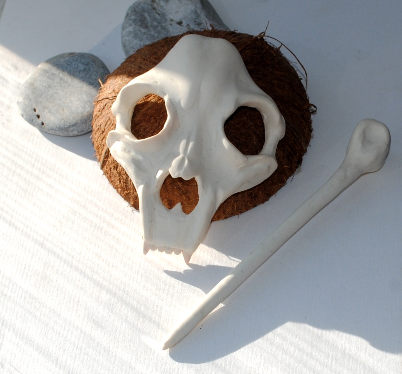 Skull and bone ... Everything is very simple, at first glance - My, Scull, Barrette, Polymer clay, Longpost