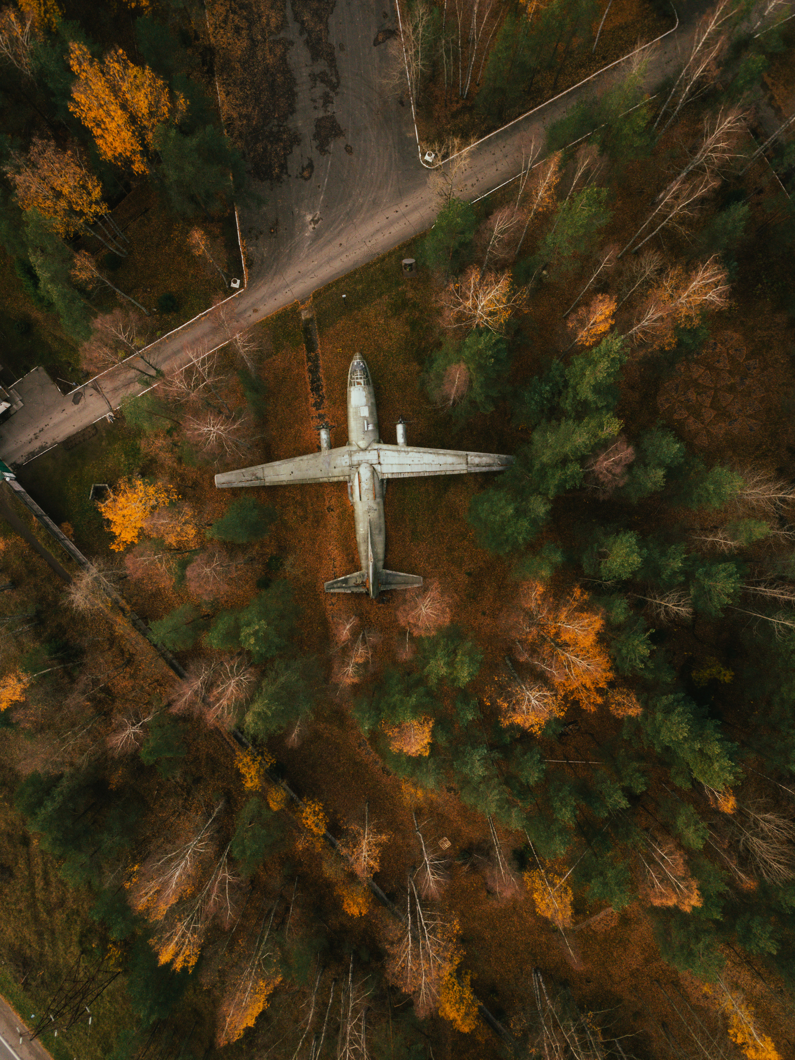 АН-8 в осеннем лесу Ленинградской области. - Моё, Ленинградская область, Ан8, Осень, DJI Mavic PRO