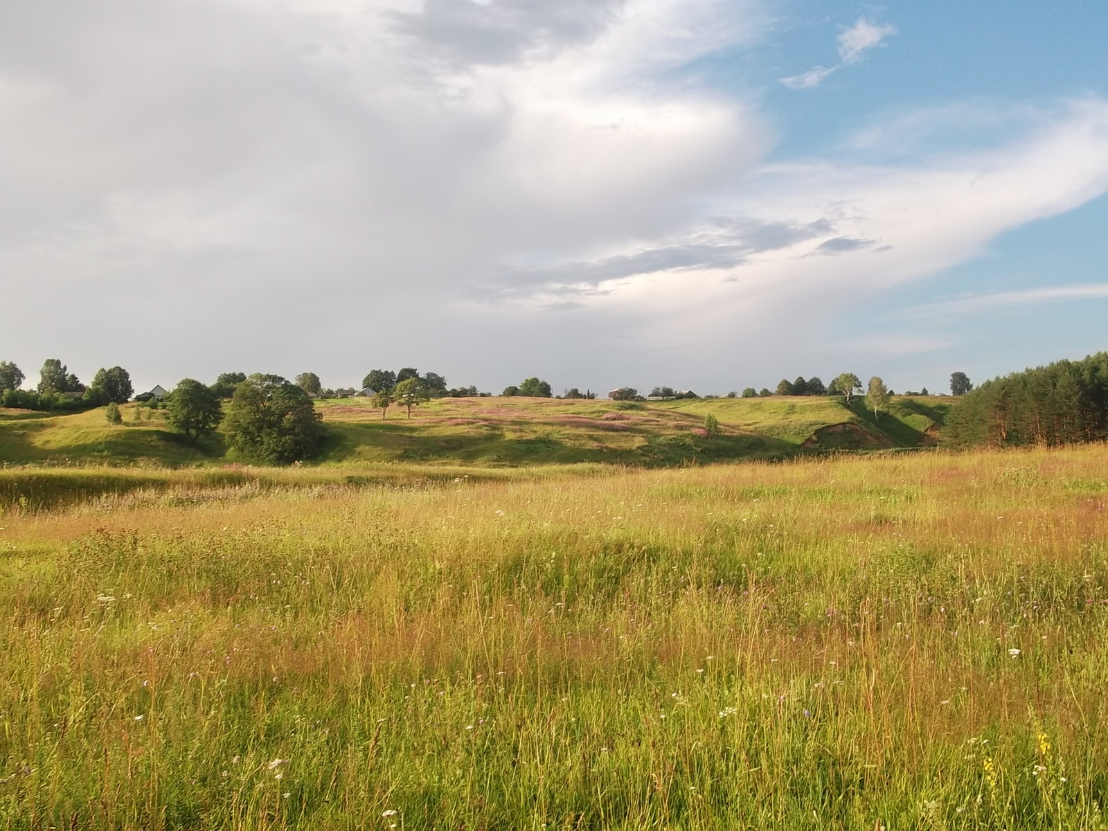 One of the summer days. - My, Summer, Nature, beauty of nature