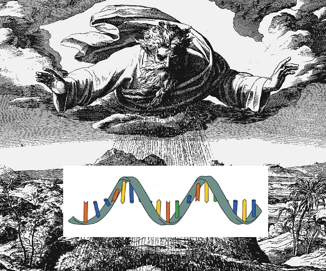 The evolution of molecules. - My, The science, Molecule, Parasites, Cell, Longpost