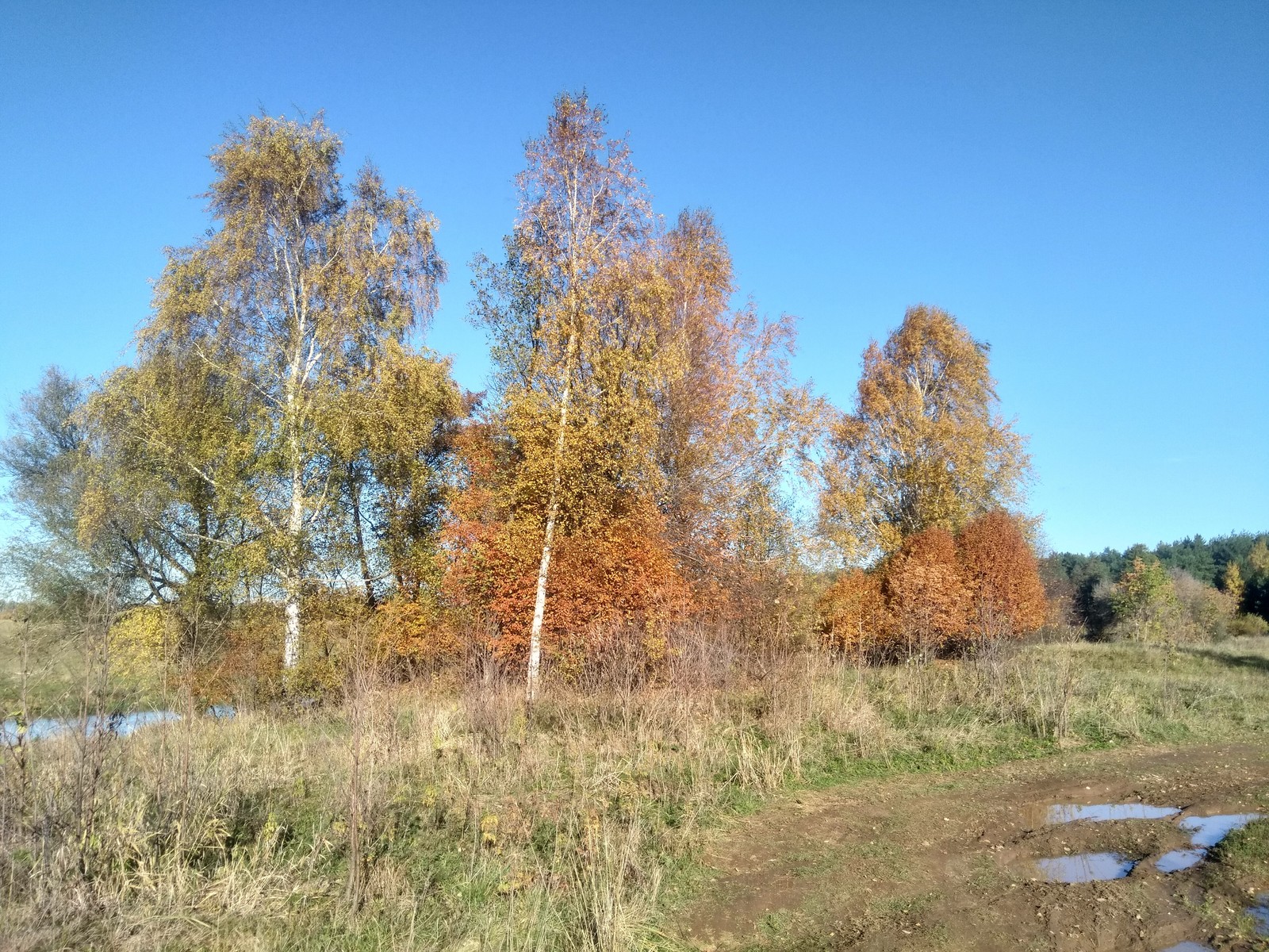 A little more autumn - My, Autumn, The photo, River, Klyazma, beauty of nature, Longpost