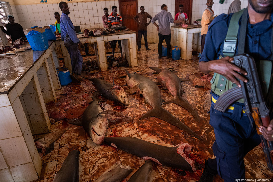 Fish market in Mogadishu - Somalia, Africa, Ilya Varlamov, Travels, Copy-paste, Longpost