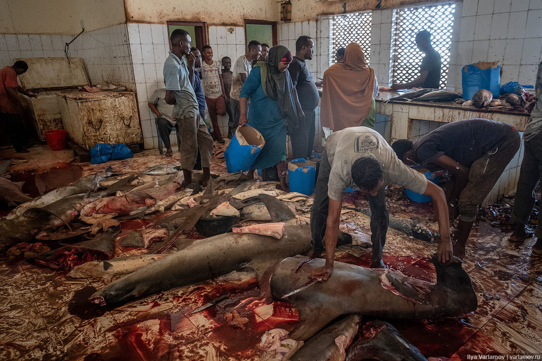 Fish market in Mogadishu - Somalia, Africa, Ilya Varlamov, Travels, Copy-paste, Longpost