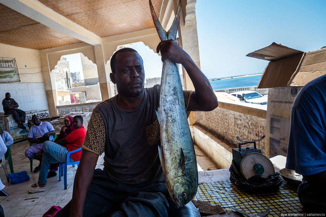 Fish market in Mogadishu - Somalia, Africa, Ilya Varlamov, Travels, Copy-paste, Longpost