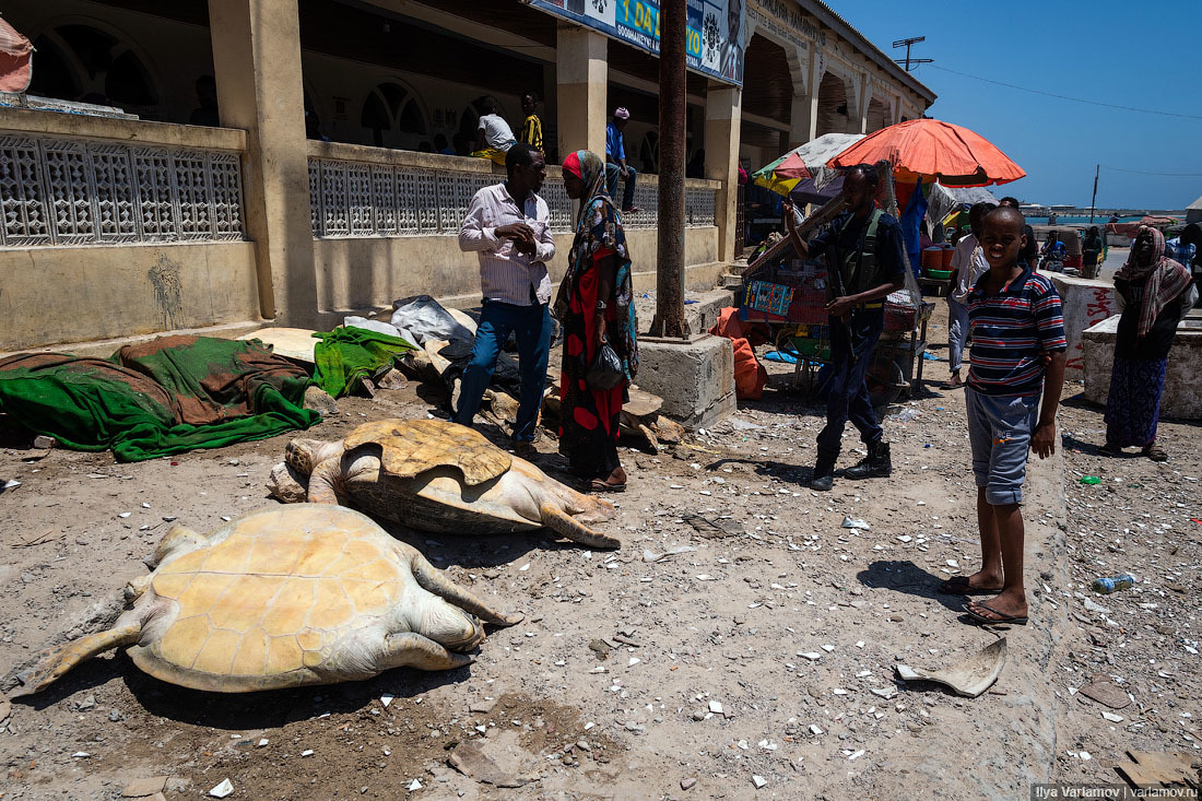 Fish market in Mogadishu - Somalia, Africa, Ilya Varlamov, Travels, Copy-paste, Longpost