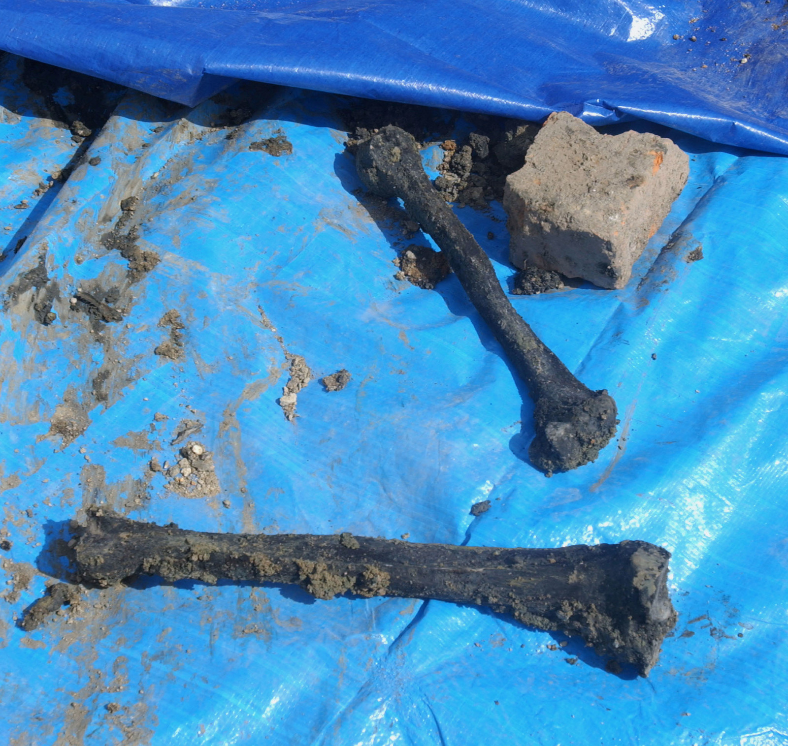 В центре Москвы рабочие обнаружили фрагменты человеческих костей | Пикабу