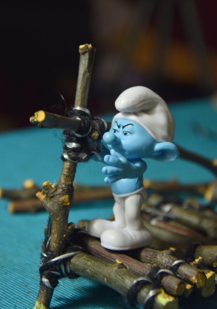 Smurf and MOST. - My, Bridge, The smurfs, Macro photography, Photographer, Longpost, Houseplants, With your own hands