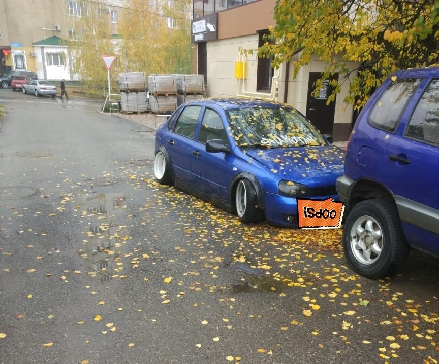 Viburnum berry in foliage))) - My, Car, The photo, Rework, Exhaust pipe, Longpost