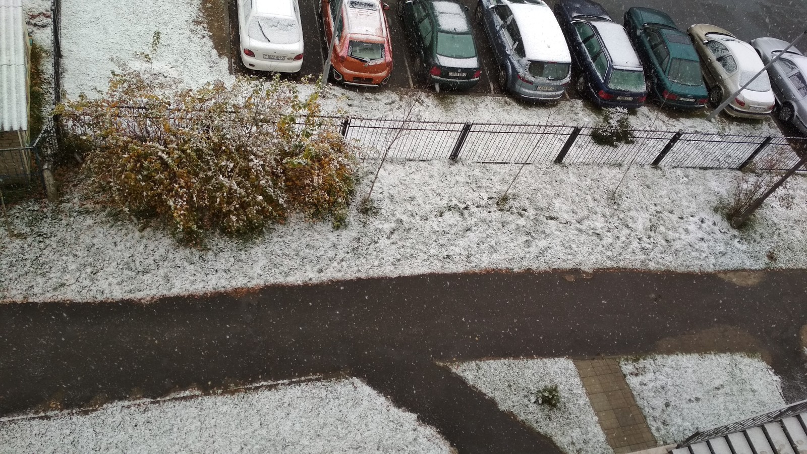 The first one went - Vitebsk 10/26/2018 - First, Snow, October, 2018, Republic of Belarus, Vitebsk