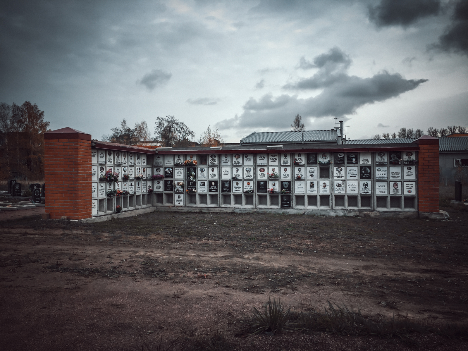 Вот так выглядит городское кладбище домашних животных в Санкт-Петербурге. |  Пикабу