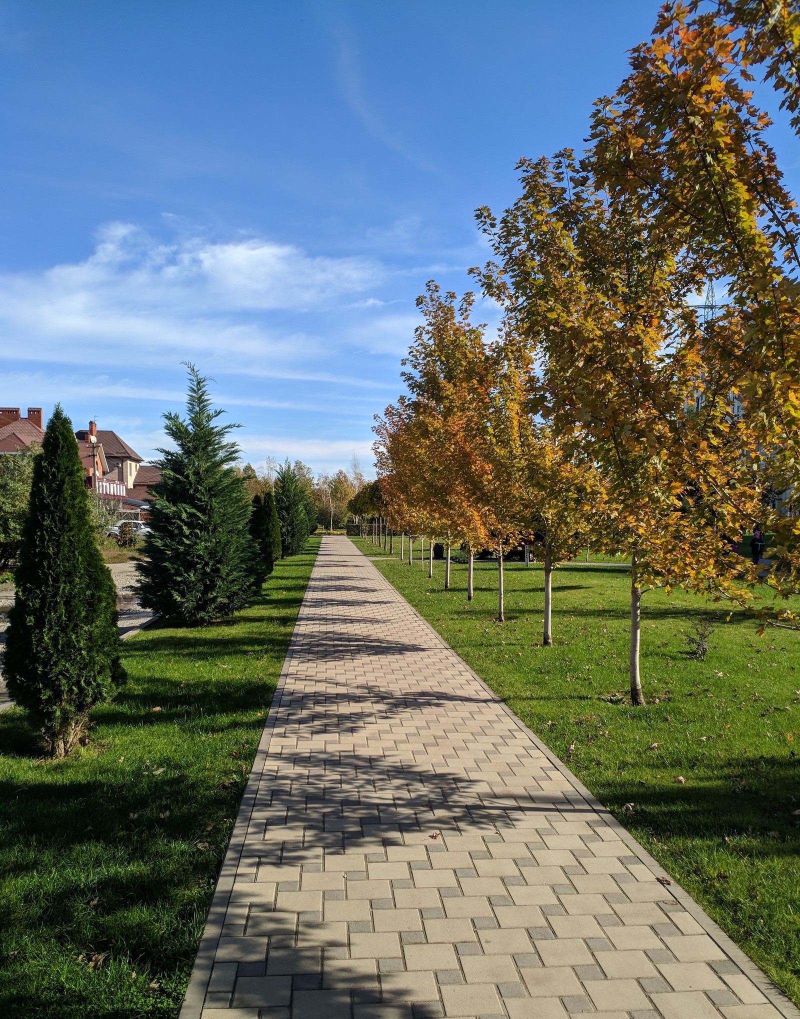 Warm southern autumn - My, Krasnodar, The photo, Autumn, Longpost