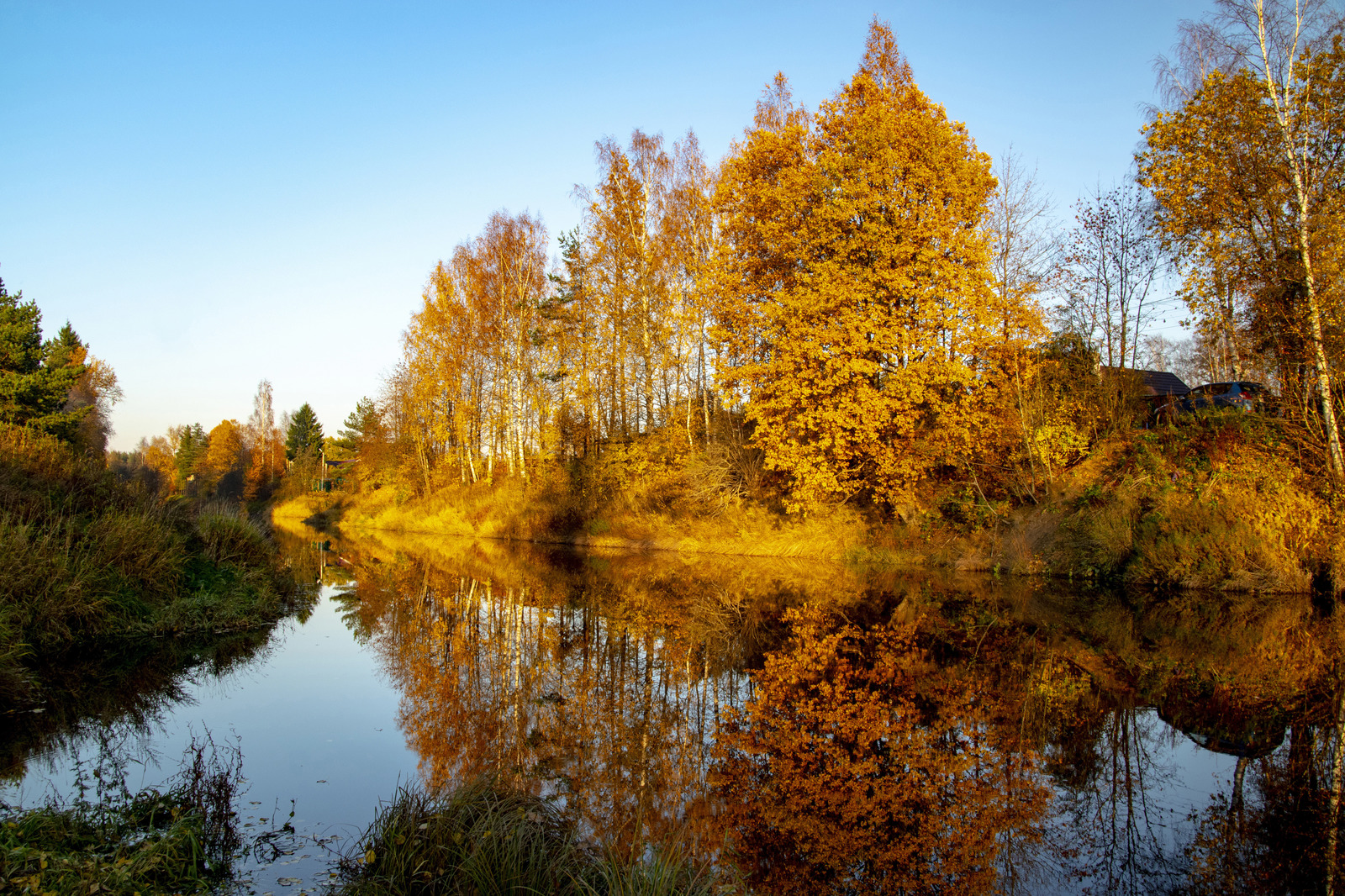 Autumn in Tosno - My, The photo, Autumn, Tosno, October, Nature, Longpost