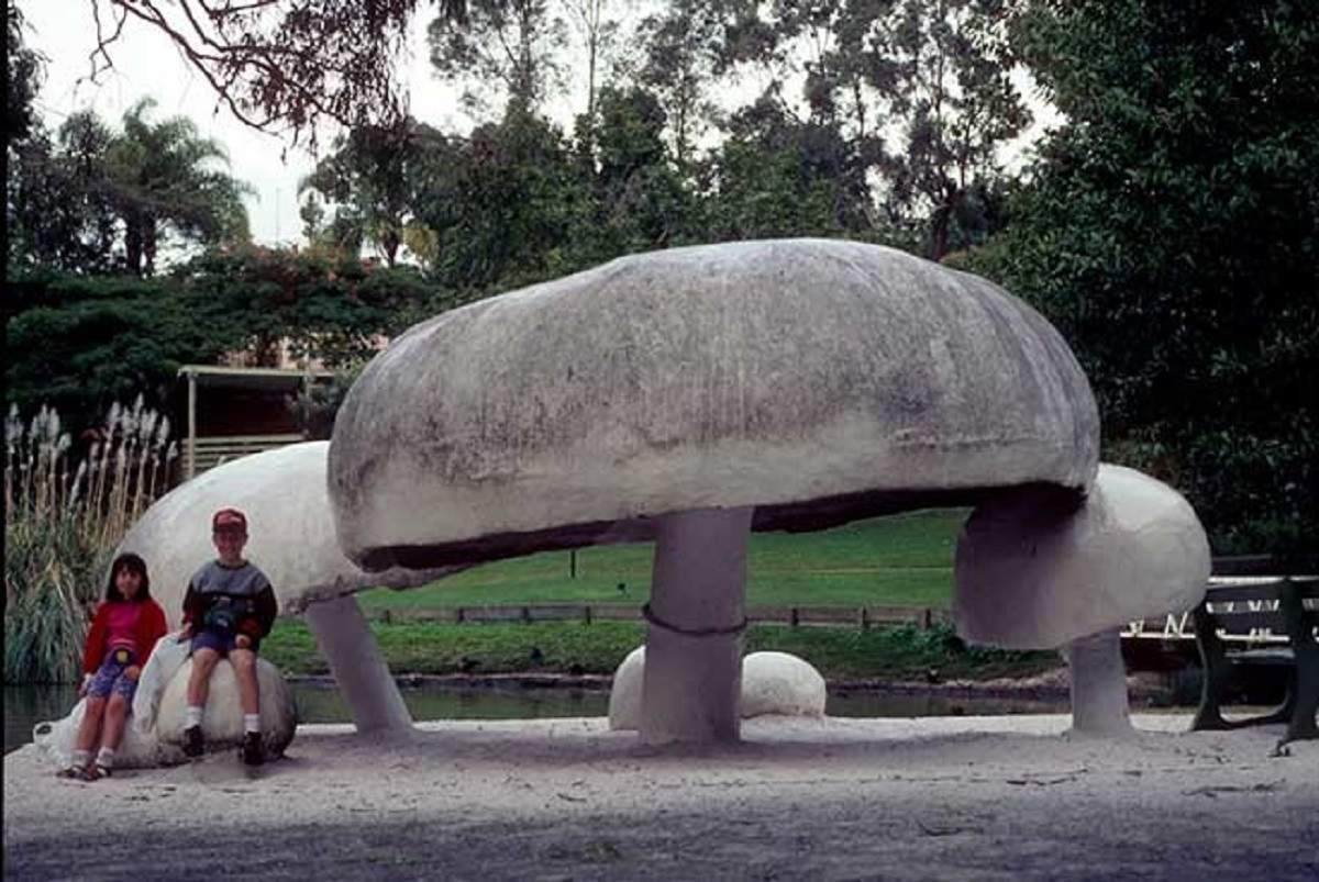 Самый гигантский гриб в мире