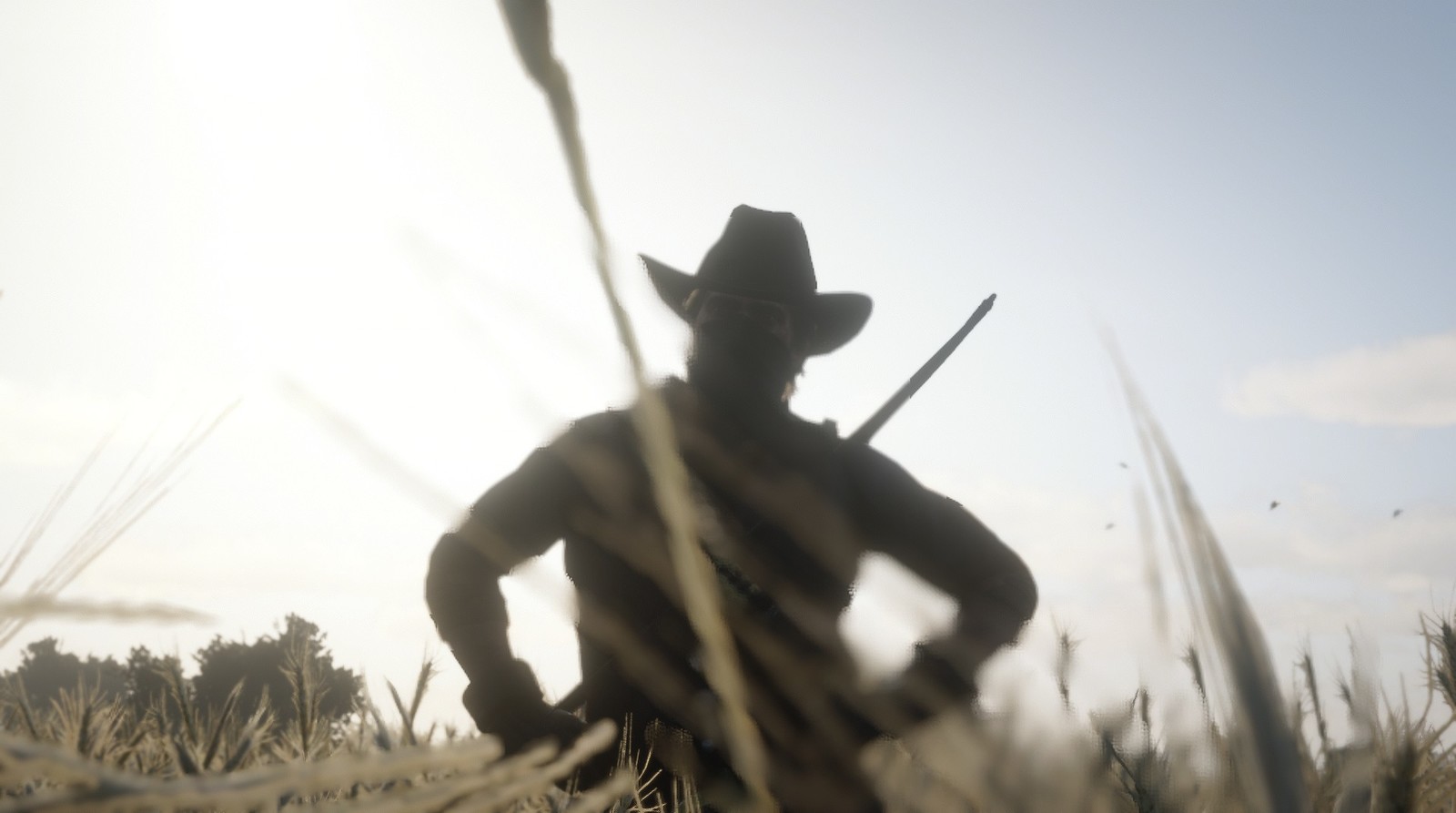 The beauty of RDR2. - Red dead redemption, Red dead redemption 2, Rockstar, Screenshot, Games, Game art, Wild West, Longpost