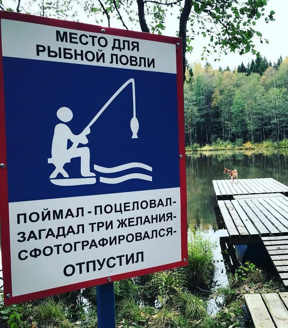 Catch and release - Paid fishing, Motivator, The photo, Табличка, Inscription, Fishing