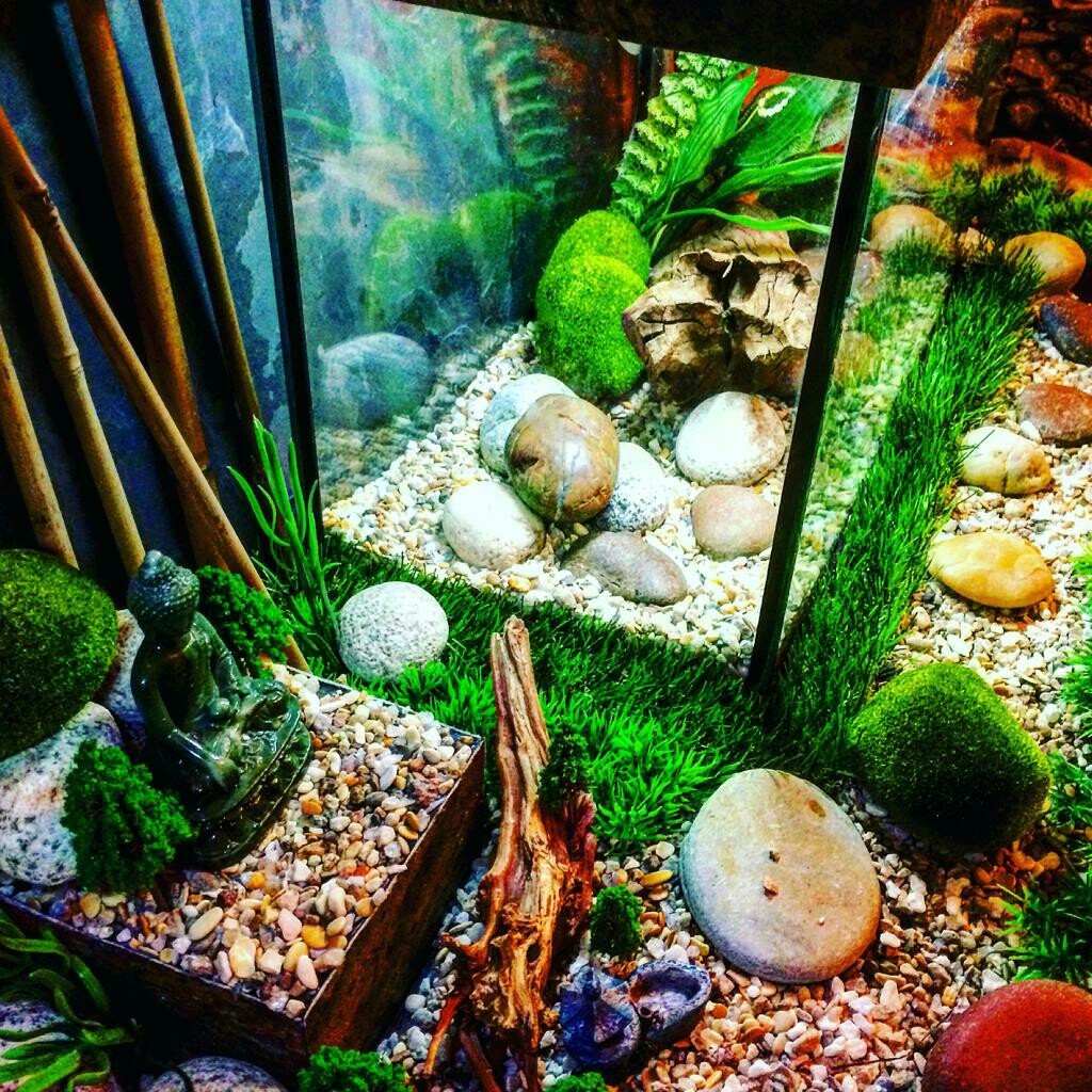 That's better? - My, Aquarium, With your own hands, Design, Longpost