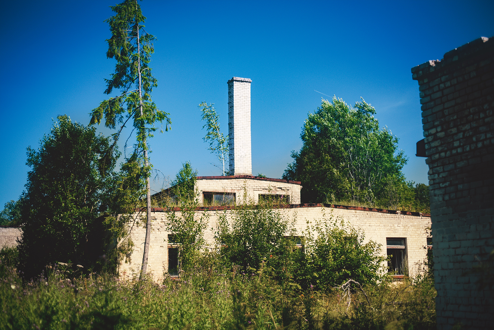 Abandoned places of the Leningrad region. - My, Abandoned, Longpost, Leningrad region, Video