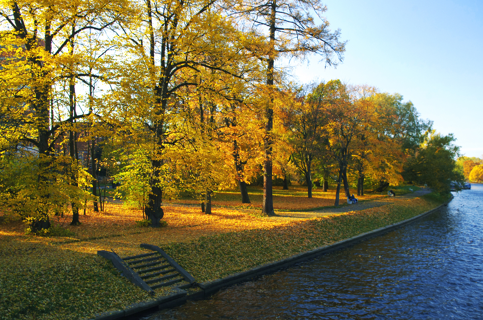 Осень в Санкт-Петербурге на Елагином острове