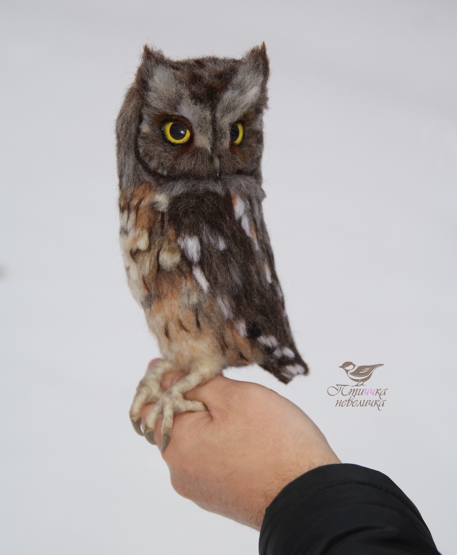 Sleepy owl. Dry felting. - My, Needlework without process, Dry felting, Birds, Needlework, Handmade, Creation, Longpost