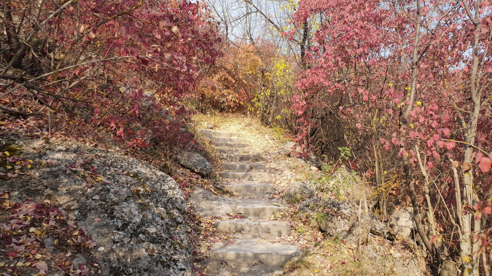 Autumn in Moldova - Longpost, Photo on sneaker, Moldova, Autumn