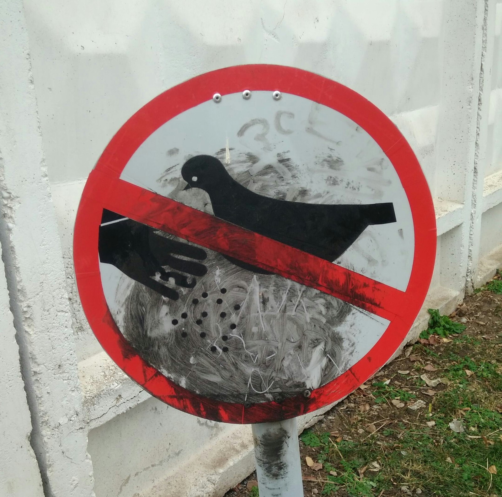 New sign - Signs, Almetyevsk, Pigeon