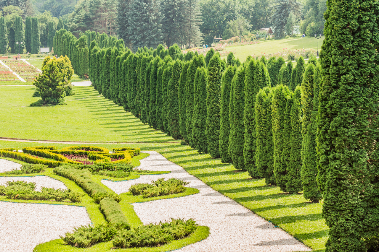 Kislovodsk, Resort Park, July 2013 - My, Kislovodsk, Spa Park, The photo, Plants, beauty, Longpost