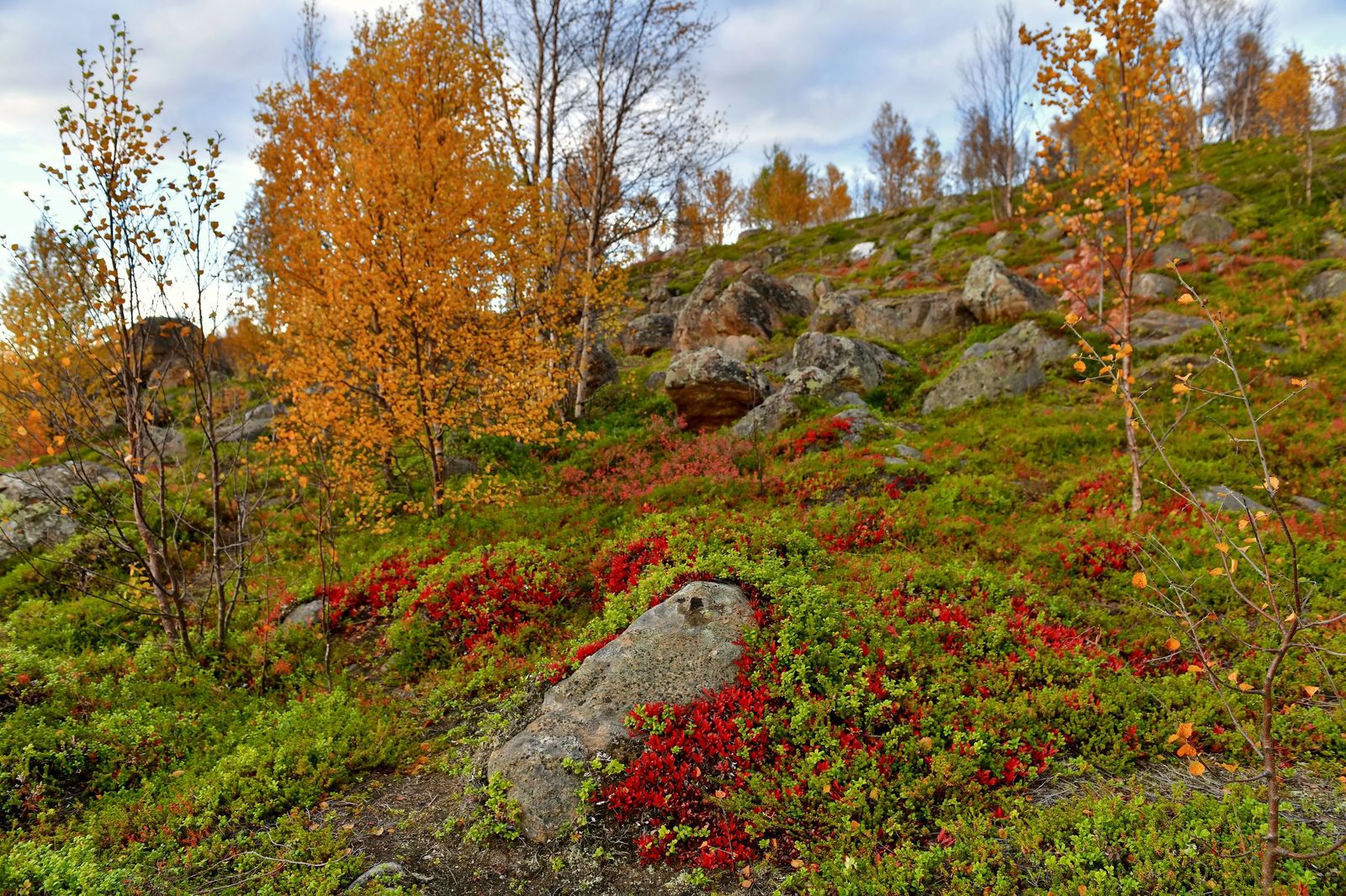 Осенний Мурманск Фото