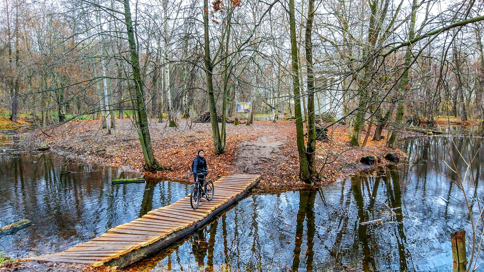 One November day... - My, A bike, The photo, Autumn, Nature, Bike ride, Moscow region, Longpost