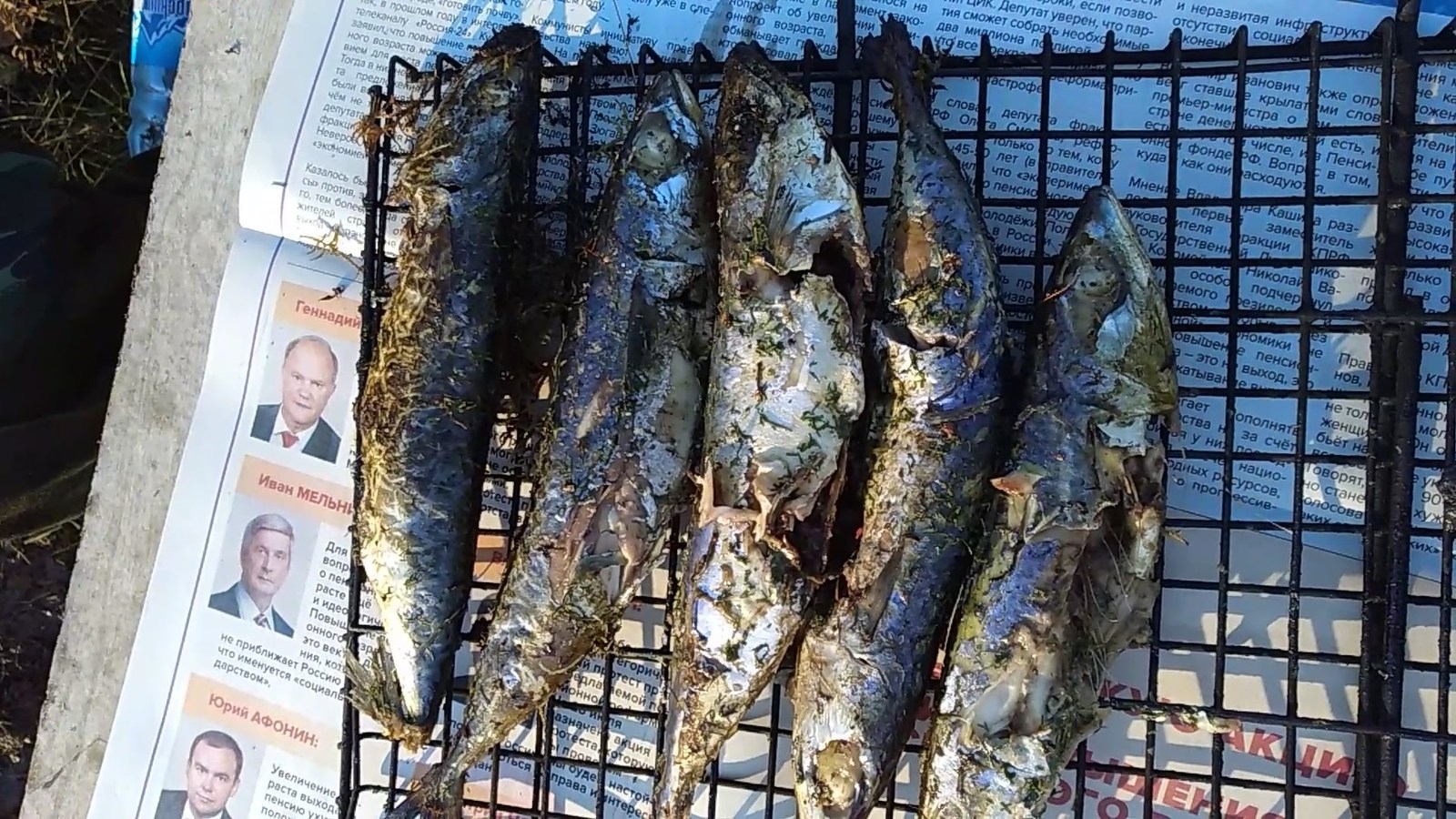 Fish baked on coals in moss - My, Cooking, , , , Fish on coals, Video, Longpost, Field kitchen