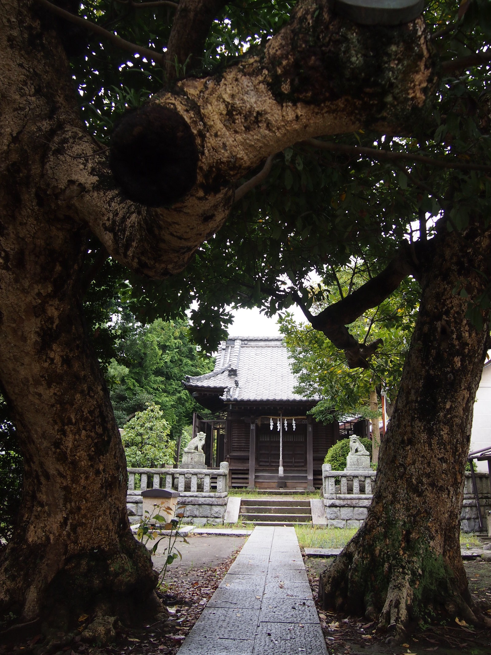 Scampish notes. - My, Japan, Kamakura, Travels, Superstition, Longpost